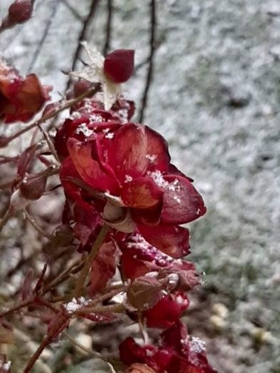 Villaquejida. Foto: Carolina Ugidos