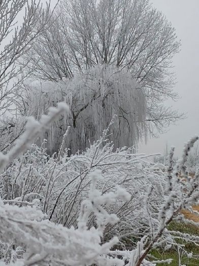 Foto: Alba Torices Blanco