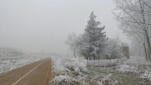 Foto: Susana Pozuelo