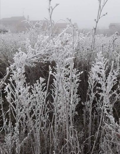 Foto: Cristina Tirados Feliz
