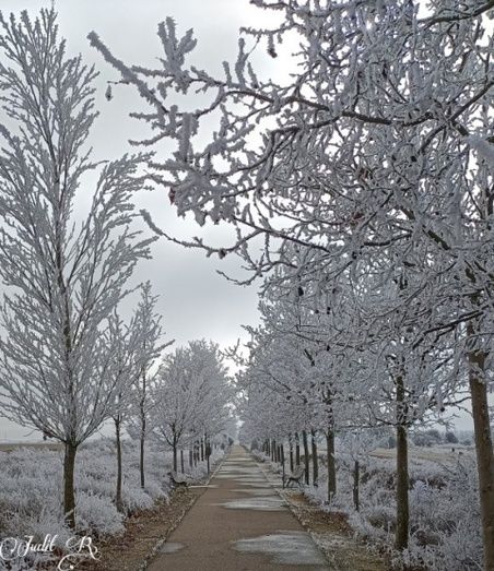 Foto: Judit Rodr&iacute;guez