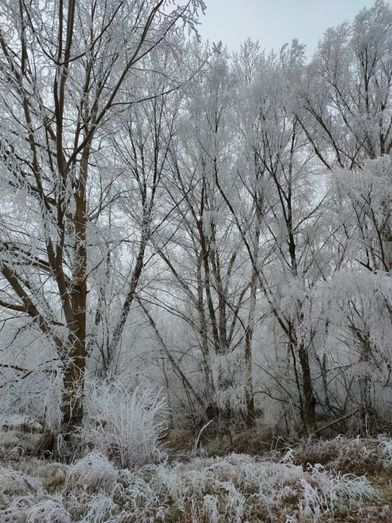 Foto: Alba Torices Blanco