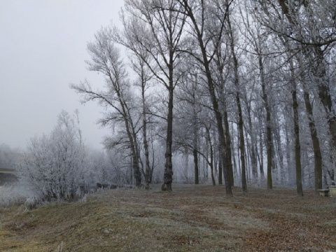 Foto: Laura Miguélez