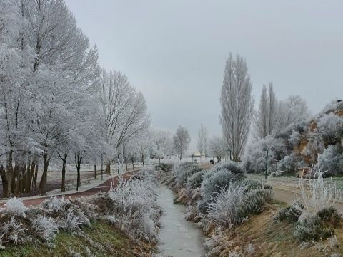 Foto: Alba Torices Blanco