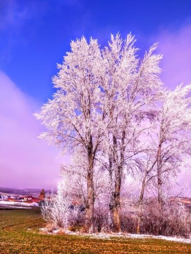 Foto: Teo Herrero González