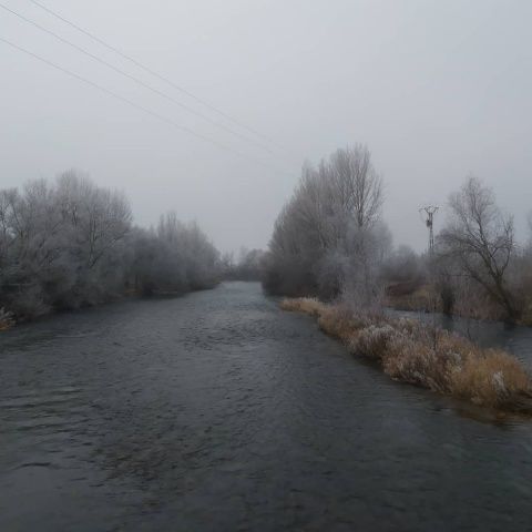 Foto: Laura Miguélez