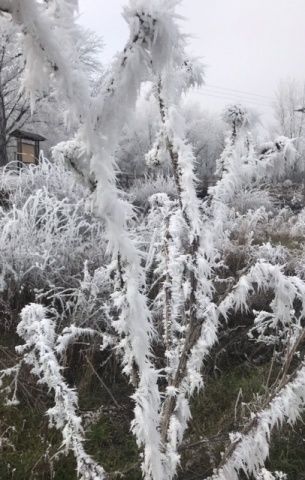 Foto: Mari Jose Fernández