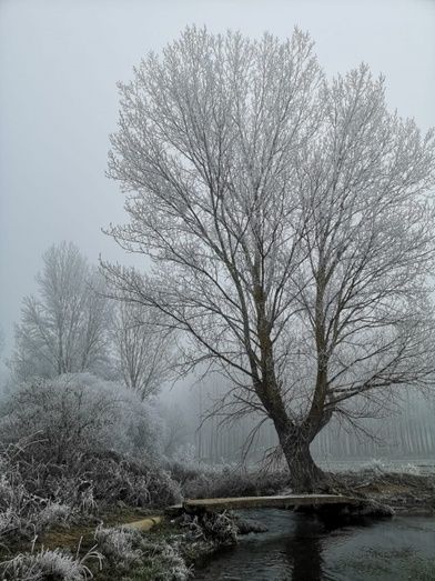 Foto: Sandra Berjon y Luc&iacute;a Gonz&aacute;lez