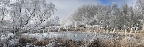 Ana María Ortega Vaquero