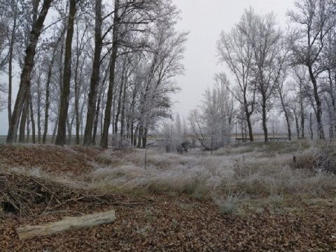 Foto: Laura Miguélez