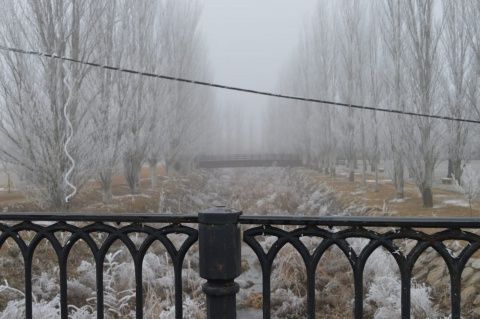 Gordoncillo. Foto: Raúl Manzano