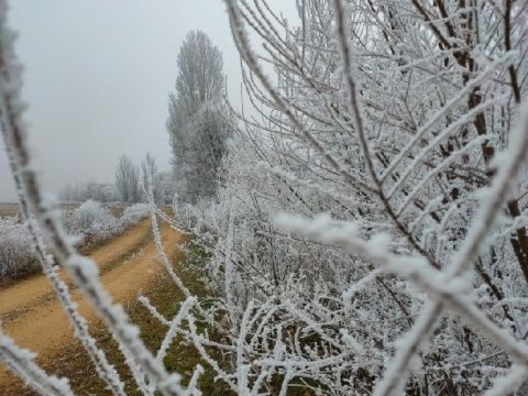 Foto: Alba Torices Blanco