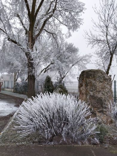 Foto: Marysol Cancelo