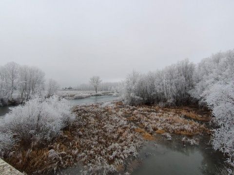 Foto: Alba Torices Blanco