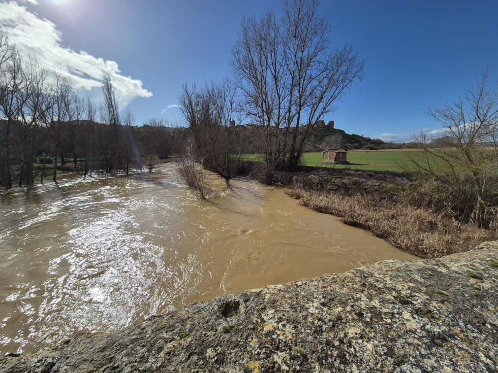 Foto: Alejandra Alonso