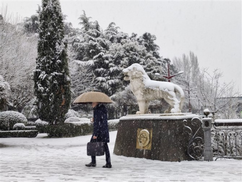 Todas las fotos de la borrasca Kristin en León capital