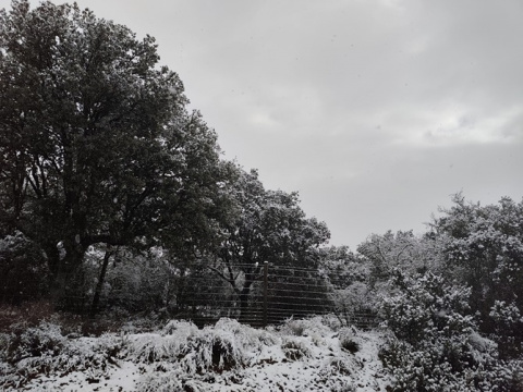 Campazas. Foto: Sandra Urue&ntilde;a