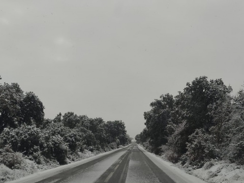 Campazas. Foto: Sandra Urue&ntilde;a