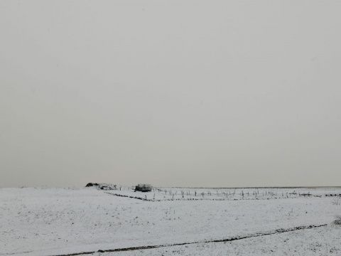 Foto: Sandra Urue&ntilde;a