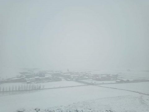 Foto: Ricardo Pellitero