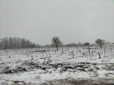 Foto: Ver&oacute;nica Alonso