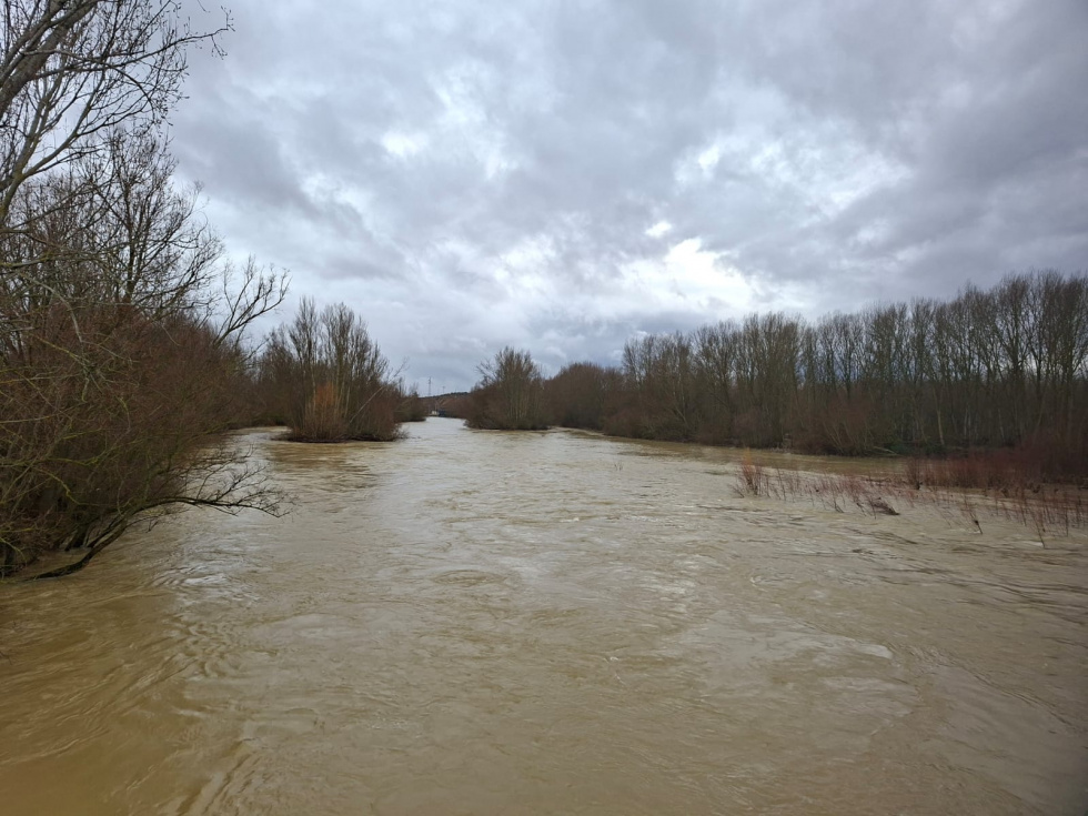 R&iacute;o Esla en Cabreros del R&iacute;o