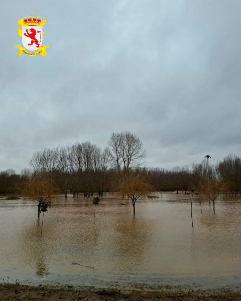 Esla en Valencia de Don Juan. Foto: Guardia Civil