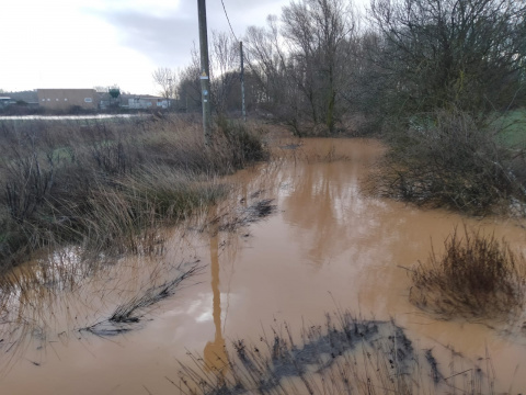El Cea baja cargado de suciedad hasta Valderas. Foto: C Barrientos