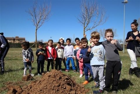 Día del Árbol en Villaquejida