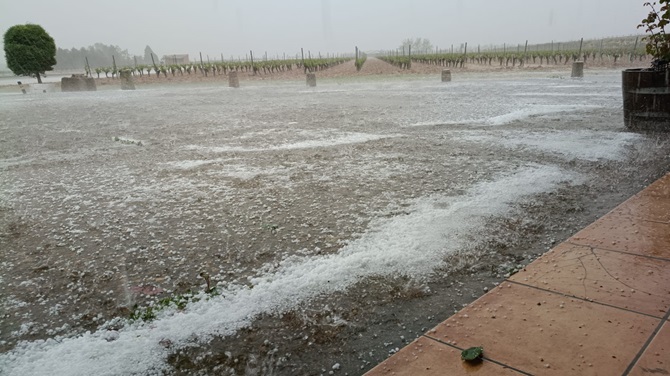 Foto: Bodega Pardevalles (Valdevimbre, Le&oacute;n)