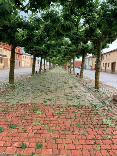 Foto: Facebook Junta Bustillo del Páramo