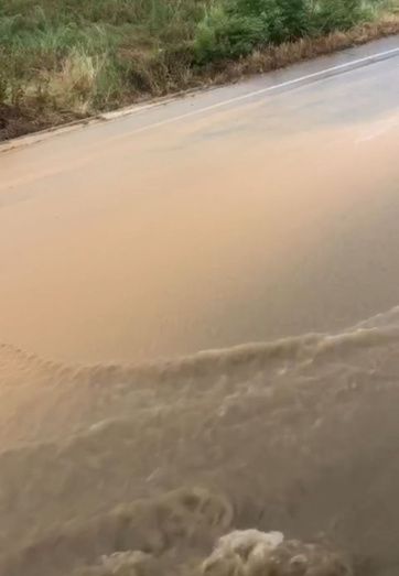 Foto: Hernisa Fen&aacute;ndez Borrego