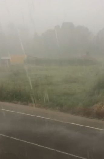 Foto: Hernisa Fen&aacute;ndez Borrego