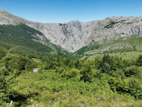 Bulnes al fondo del Valle. Otra buena opci&oacute;n para visitar.