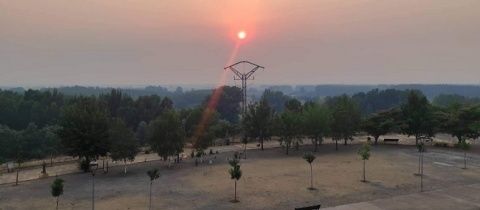 Foto: Agustín Chamorro