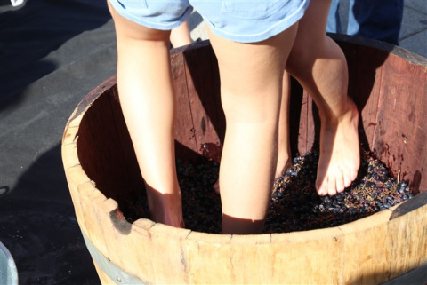 Todas las fotos de la Feria de la Vendimia