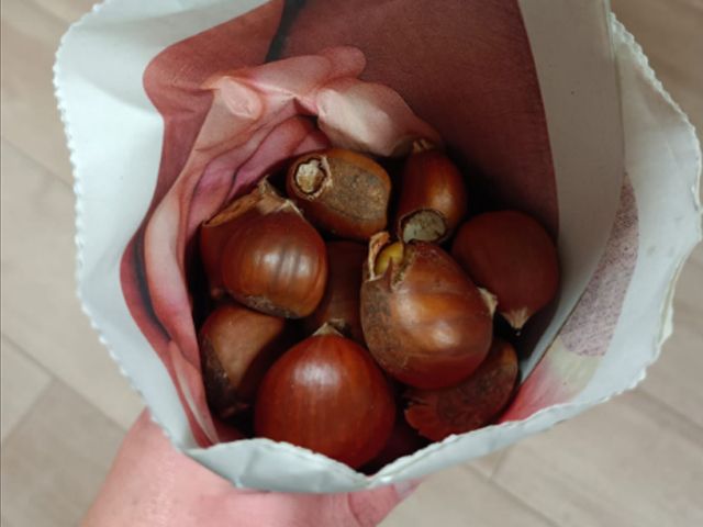 [Img #74290]