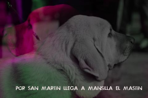 Foto: Jesús GG