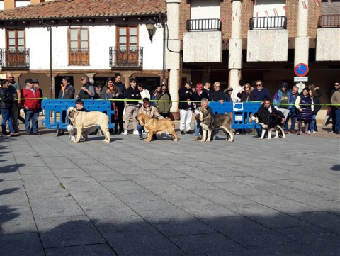 Foto: Facebook Ayuntamiento Mansilla de las Mulas