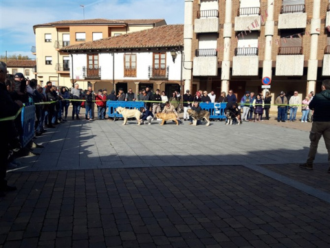 Foto: Facebook Ayuntamiento Mansilla de las Mulas