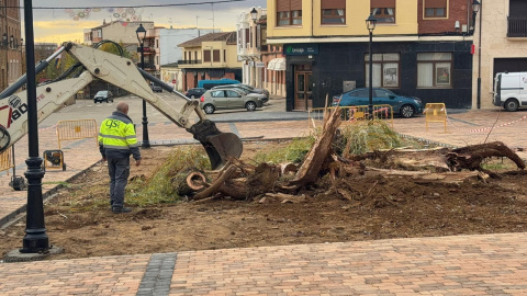 Foto: Alberto García