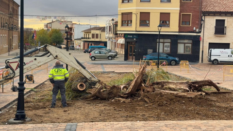 Foto: Alberto García