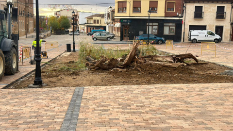 Foto: Alberto García