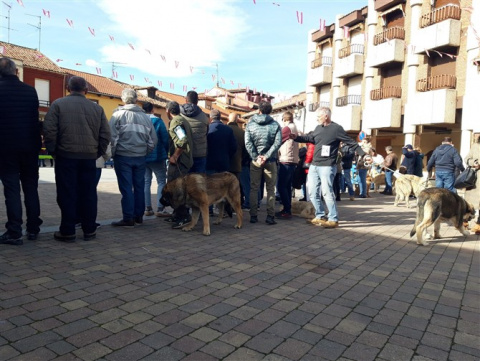 Foto: Facebook Ayuntamiento Mansilla de las Mulas