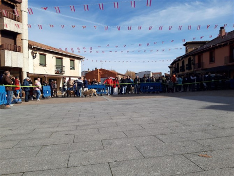 Foto: Facebook Ayuntamiento Mansilla de las Mulas