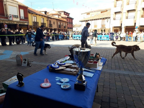 Foto: Facebook Ayuntamiento Mansilla de las Mulas