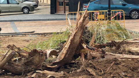 Foto: Alberto García