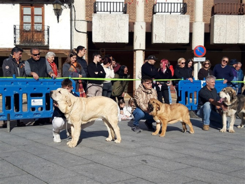 Foto: Facebook Ayuntamiento Mansilla de las Mulas
