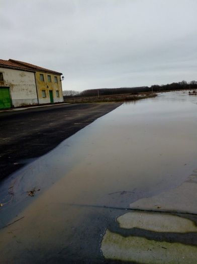 Bariones de la Vega esta ma&ntilde;ana. Foto: Mar&iacute;a Teresa Fraile