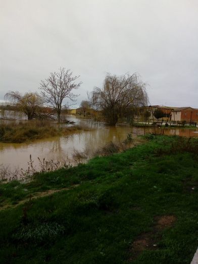 Bariones de la Vega esta ma&ntilde;ana. Foto: Mar&iacute;a Teresa Fraile